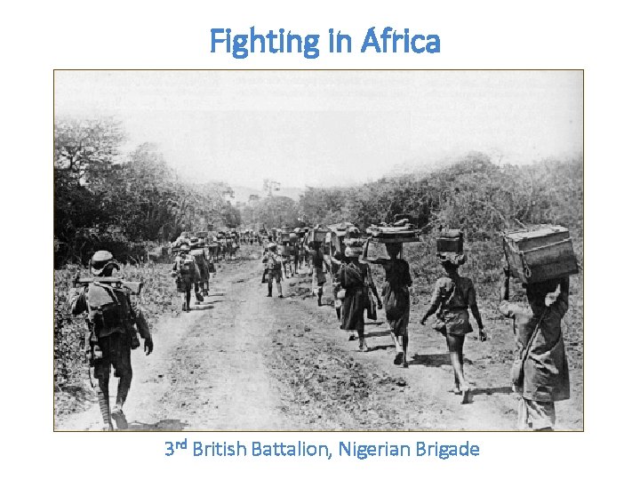 Fighting in Africa 3 rd British Battalion, Nigerian Brigade 