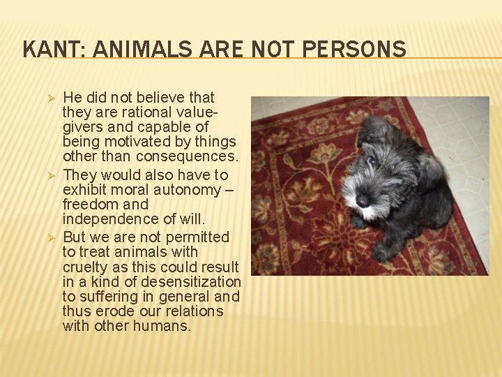 KANT: ANIMALS ARE NOT PERSONS Ø Ø Ø He did not believe that they