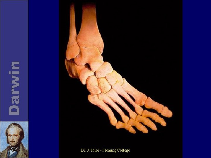 Dr. J. Mior - Fleming College 