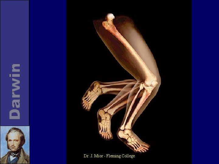 Dr. J. Mior - Fleming College 