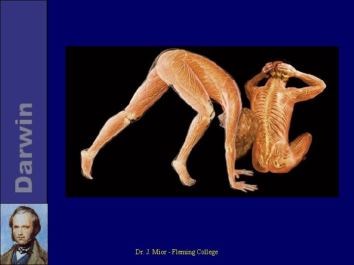 Dr. J. Mior - Fleming College 