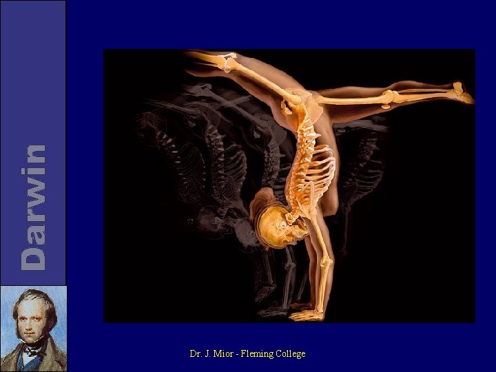 Dr. J. Mior - Fleming College 