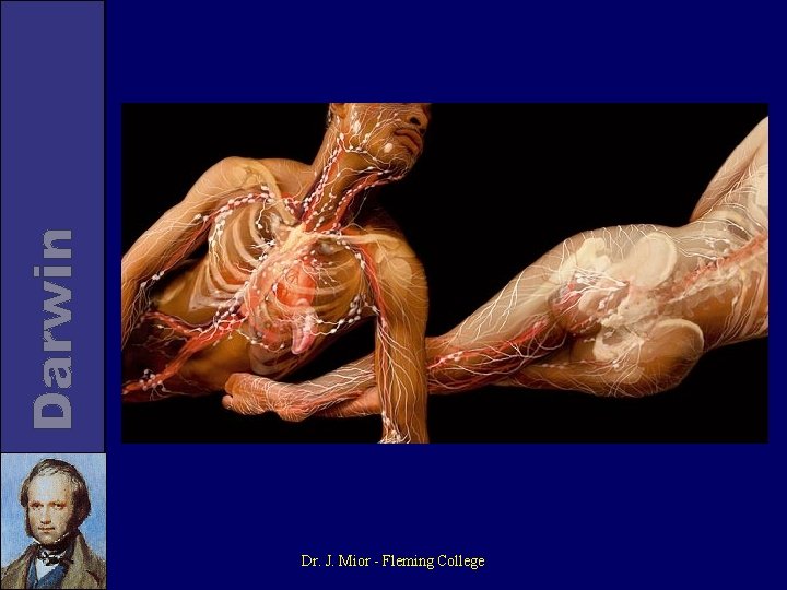 Dr. J. Mior - Fleming College 