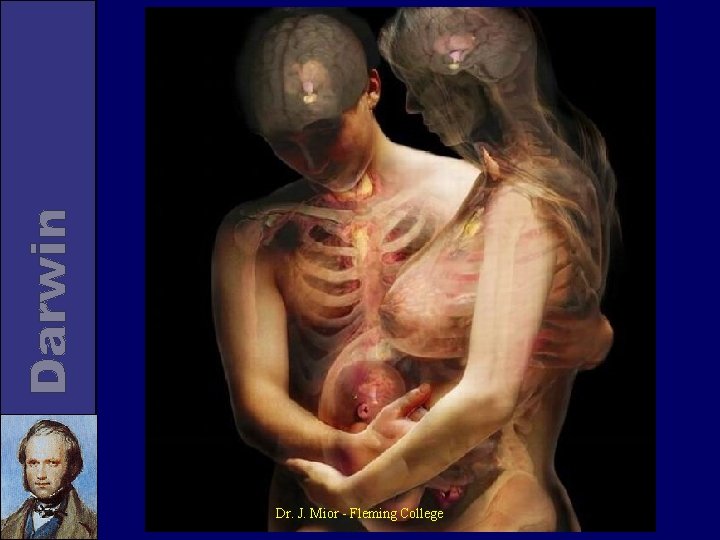 Dr. J. Mior - Fleming College 