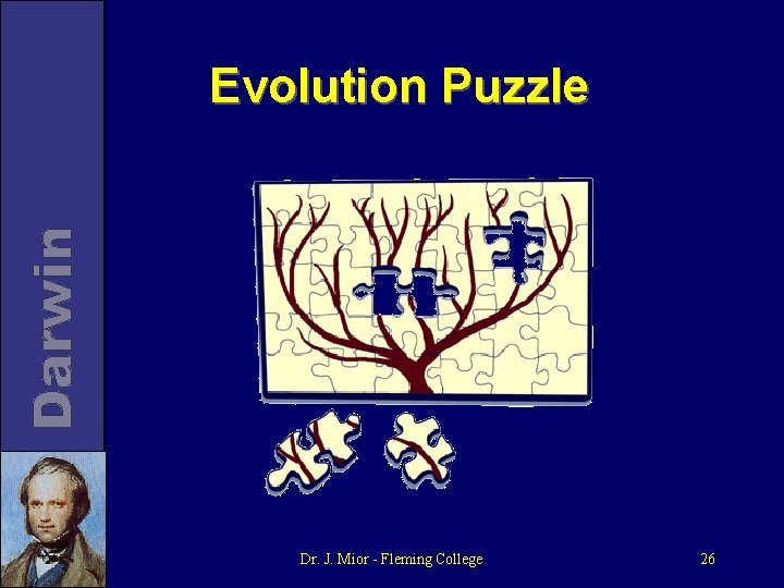 Evolution Puzzle Dr. J. Mior - Fleming College 26 