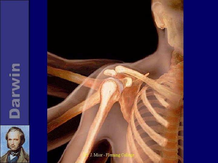 Dr. J. Mior - Fleming College 