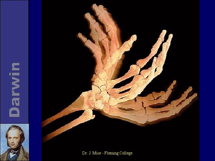 Dr. J. Mior - Fleming College 