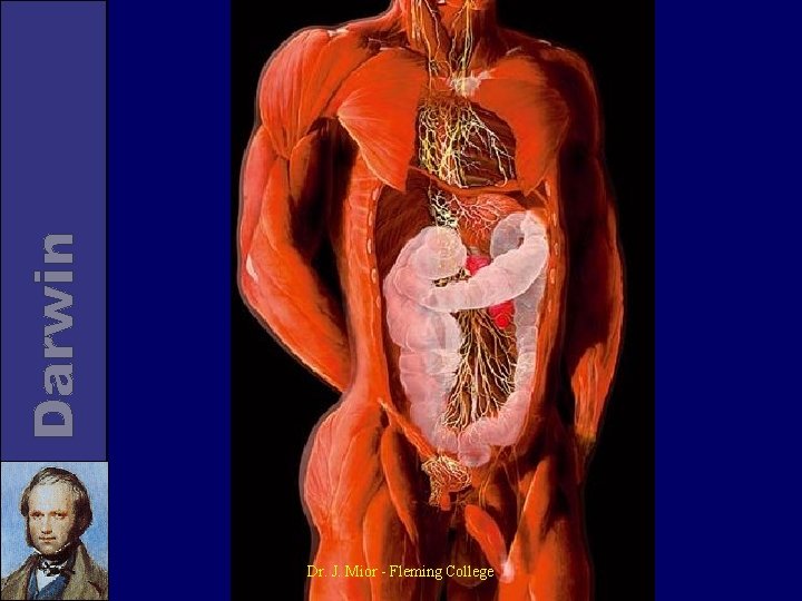 Dr. J. Mior - Fleming College 