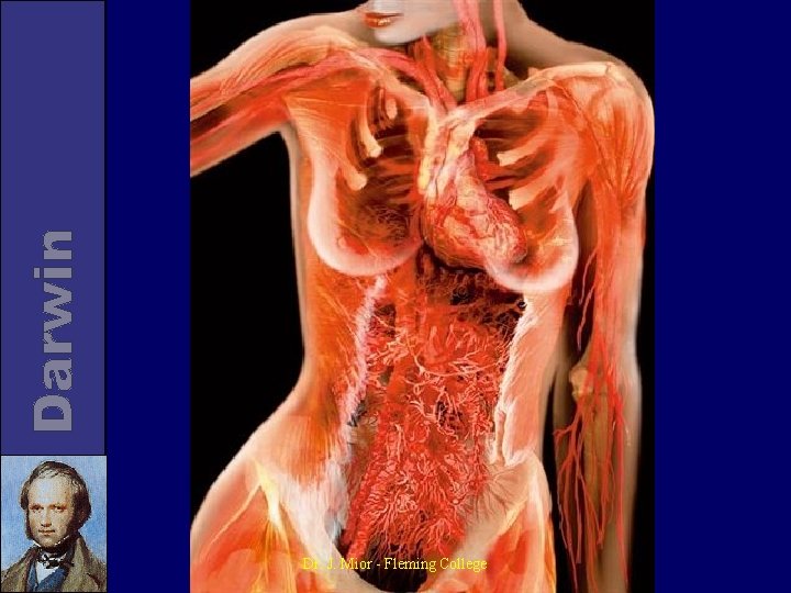 Dr. J. Mior - Fleming College 