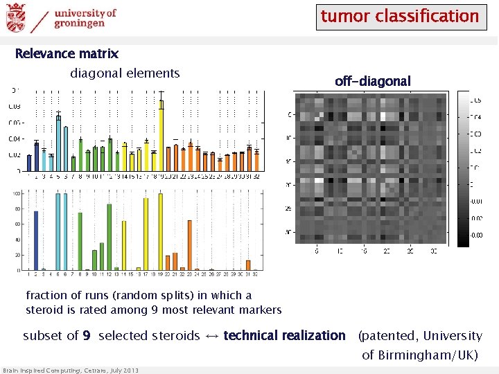tumor classification Relevance matrix diagonal elements off-diagonal fraction of runs (random splits) in which