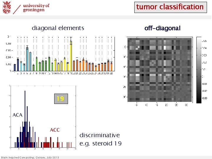 tumor classification diagonal elements 19 ACA ACC Brain Inspired Computing, Cetraro, July 2013 discriminative