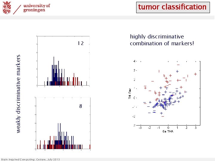 tumor classification weakly discriminative markers 12 Brain Inspired Computing, Cetraro, July 2013 8 highly