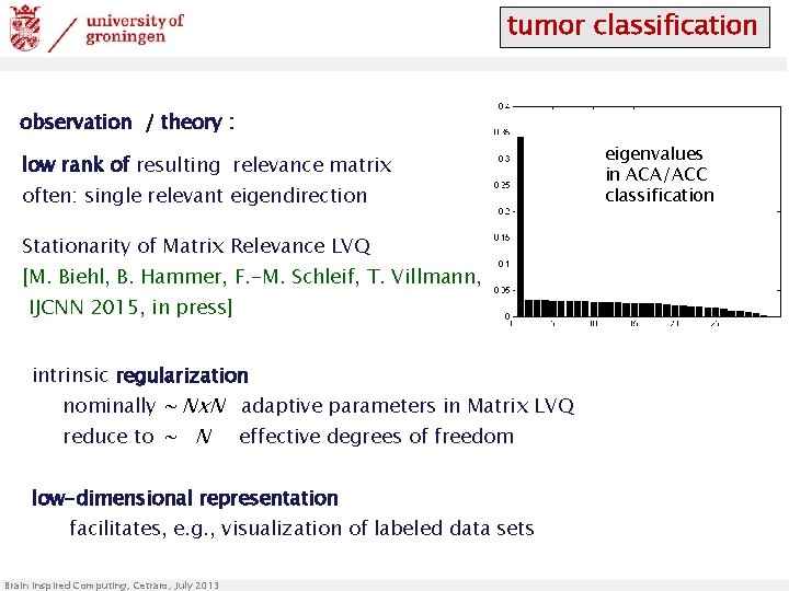tumor classification observation / theory : low rank of resulting relevance matrix often: single