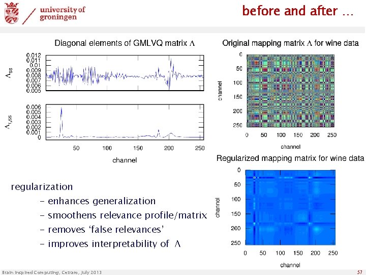 before and after … regularization - enhances generalization - smoothens relevance profile/matrix - removes