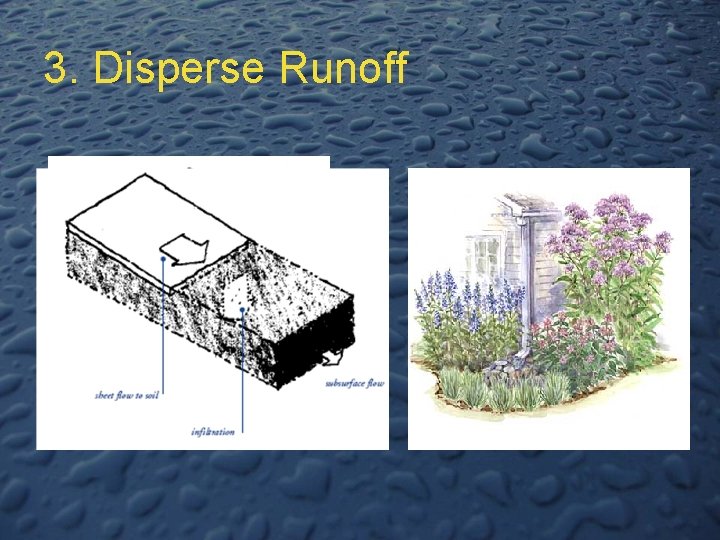 3. Disperse Runoff 