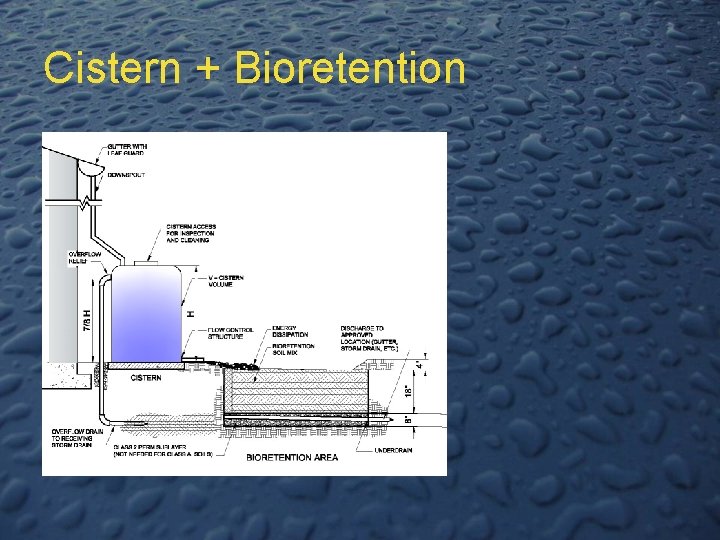 Cistern + Bioretention 