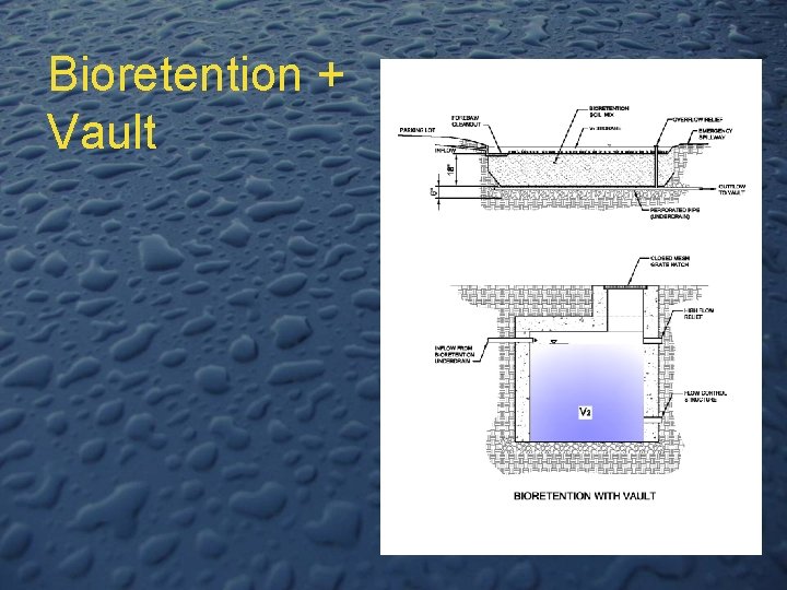 Bioretention + Vault 
