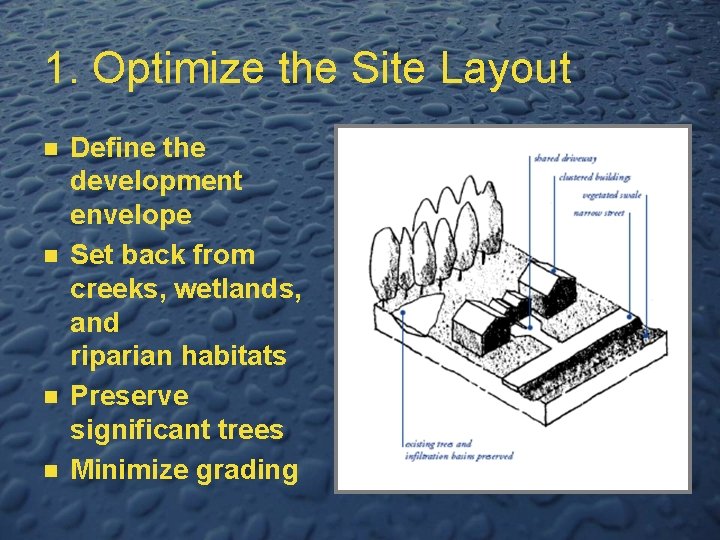 1. Optimize the Site Layout n n Define the development envelope Set back from