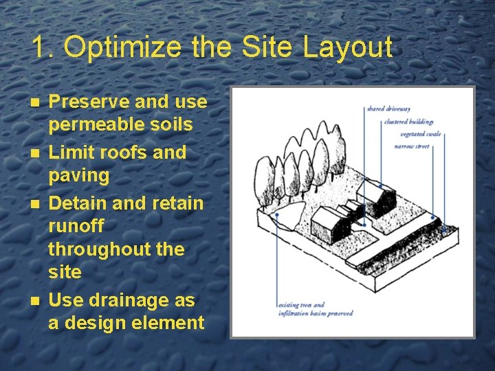 1. Optimize the Site Layout n n Preserve and use permeable soils Limit roofs