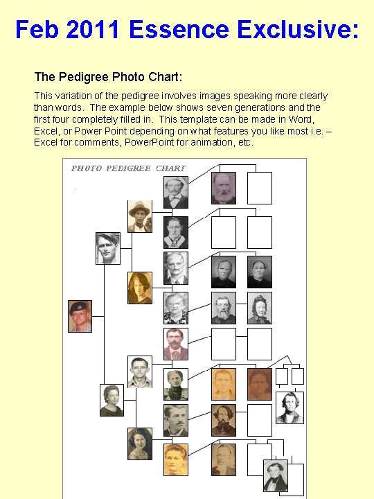 Feb 2011 Essence Exclusive: The Pedigree Photo Chart: This variation of the pedigree involves