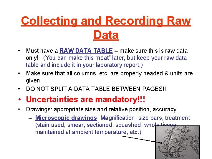 Collecting and Recording Raw Data • Must have a RAW DATA TABLE – make