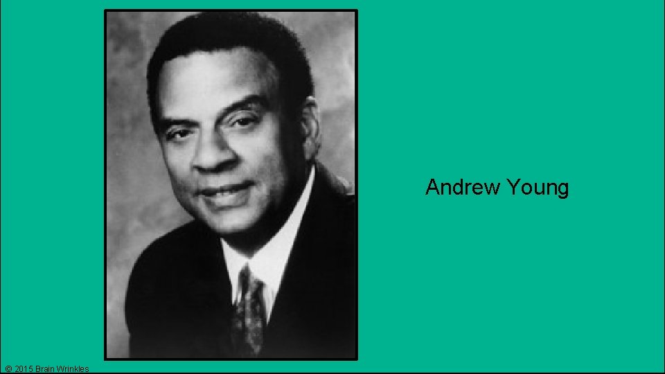 Andrew Young © 2015 Brain Wrinkles 