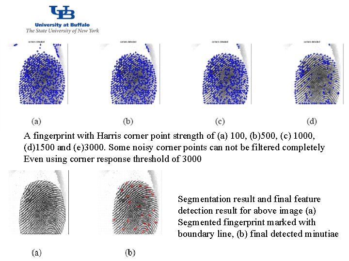 http: //www. cubs. buffalo. edu A fingerprint with Harris corner point strength of (a)