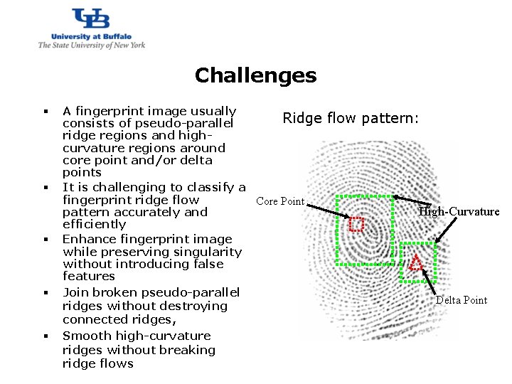 http: //www. cubs. buffalo. edu Challenges § § § A fingerprint image usually Ridge