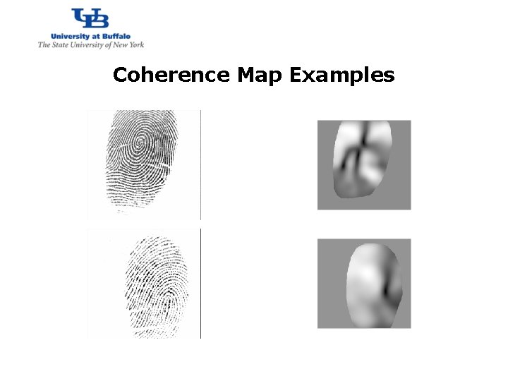 http: //www. cubs. buffalo. edu Coherence Map Examples 