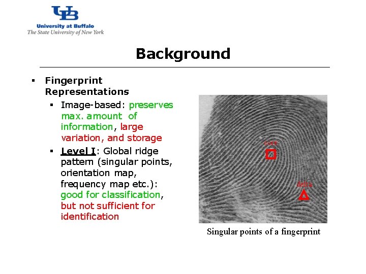 http: //www. cubs. buffalo. edu Background § Fingerprint Representations § Image-based: preserves max. amount