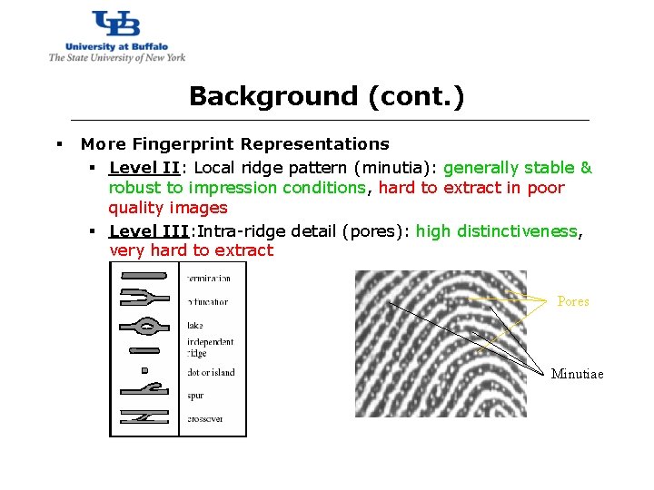 http: //www. cubs. buffalo. edu Background (cont. ) § More Fingerprint Representations § Level