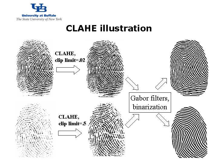 http: //www. cubs. buffalo. edu CLAHE illustration CLAHE, clip limit=. 02 Gabor filters, binarization