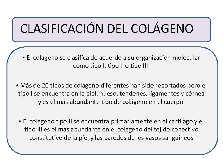 CLASIFICACIÓN DEL COLÁGENO • El colágeno se clasifica de acuerdo a su organización molecular