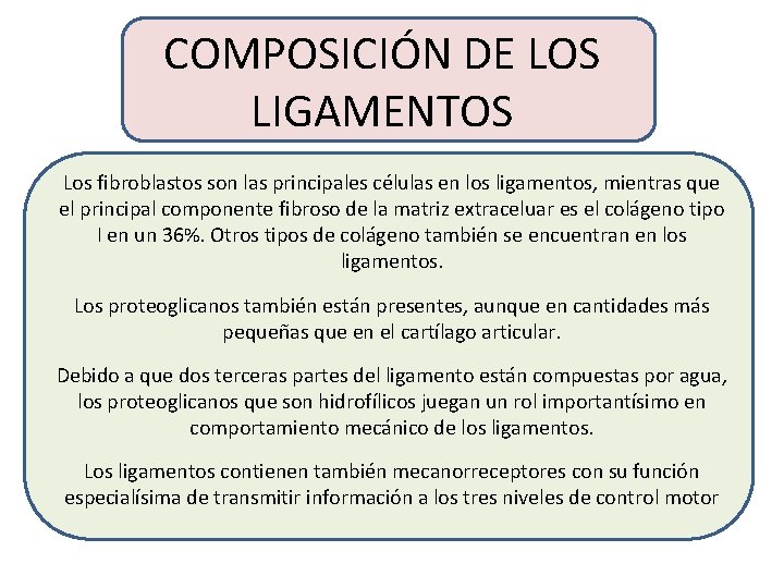 COMPOSICIÓN DE LOS LIGAMENTOS Los fibroblastos son las principales células en los ligamentos, mientras