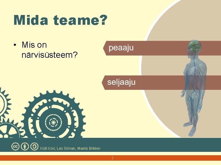 Mida teame? • Mis on närvisüsteem? Külli Kori, Leo Siiman, Meelis Brikker 2 