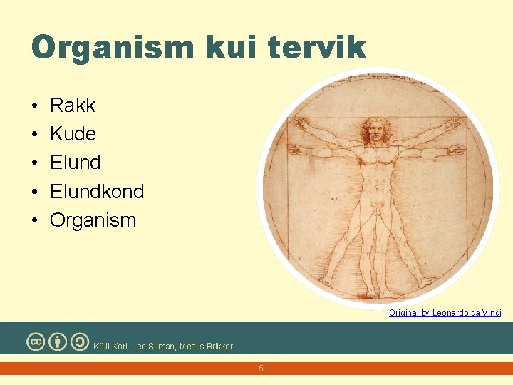 Organism kui tervik • • • Rakk Kude Elundkond Organism Original by Leonardo da