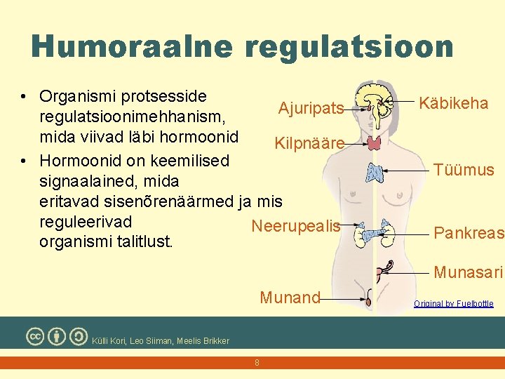 Humoraalne regulatsioon • Organismi protsesside Ajuripats regulatsioonimehhanism, mida viivad läbi hormoonid Kilpnääre • Hormoonid