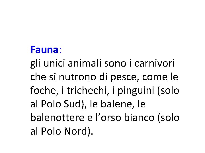 Fauna: gli unici animali sono i carnivori che si nutrono di pesce, come le