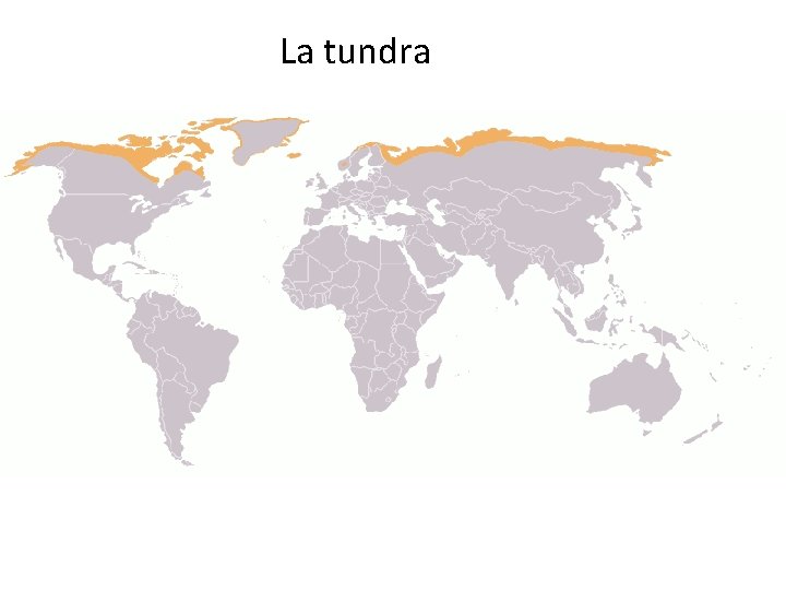 La tundra 