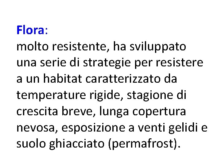 Flora: molto resistente, ha sviluppato una serie di strategie per resistere a un habitat