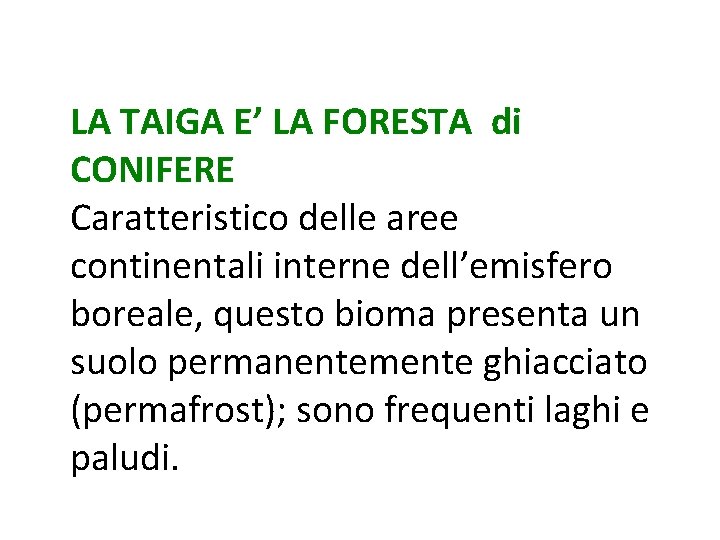 LA TAIGA E’ LA FORESTA di CONIFERE Caratteristico delle aree continentali interne dell’emisfero boreale,