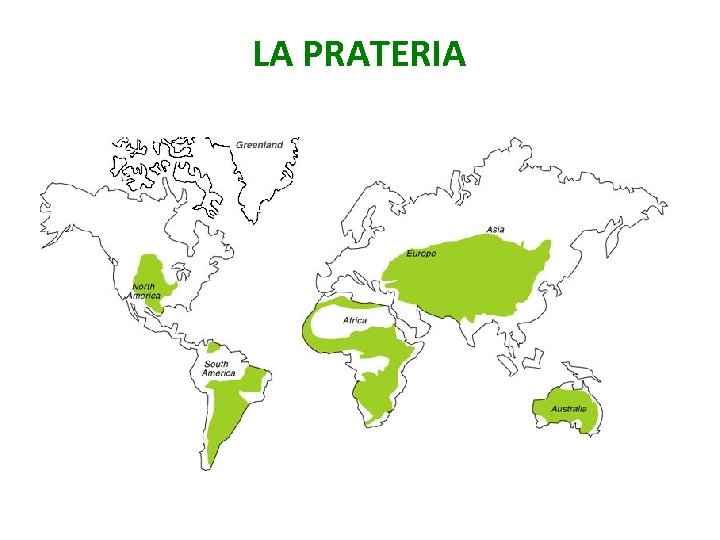 LA PRATERIA 