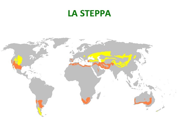 LA STEPPA 