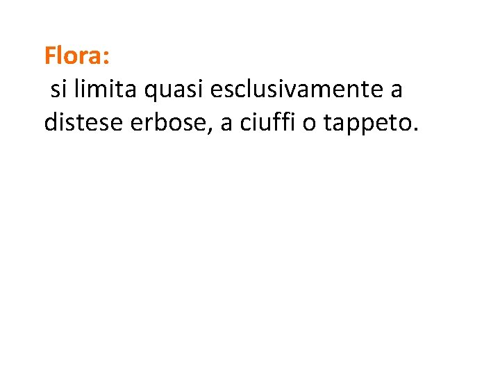 Flora: si limita quasi esclusivamente a distese erbose, a ciuffi o tappeto. 