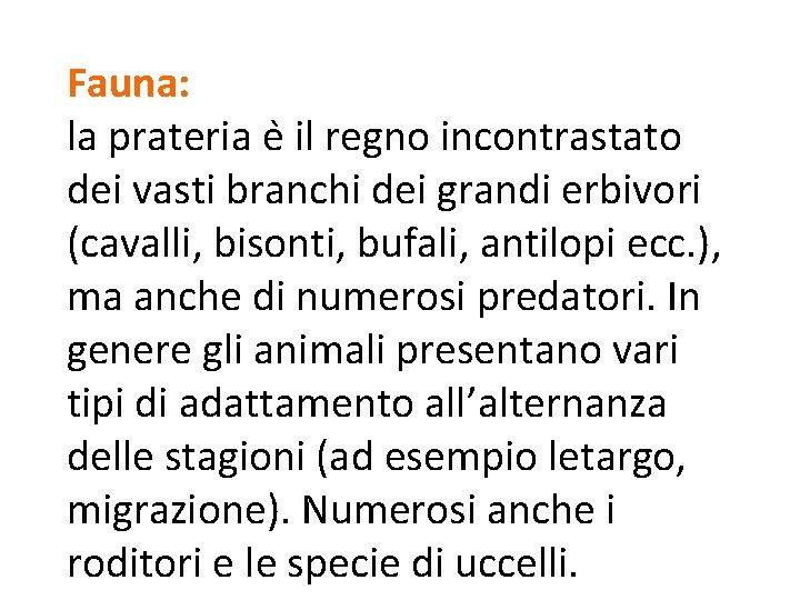 Fauna: la prateria e il regno incontrastato dei vasti branchi dei grandi erbivori (cavalli,