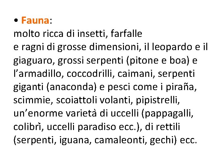  • Fauna: molto ricca di insetti, farfalle e ragni di grosse dimensioni, il