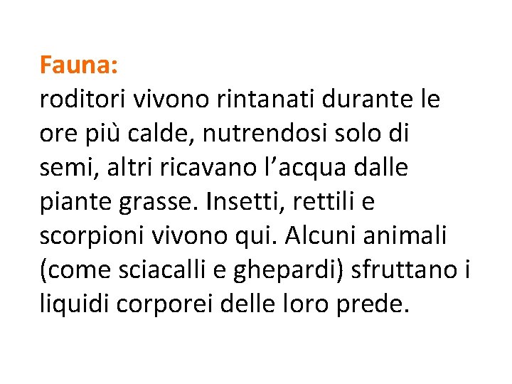 Fauna: roditori vivono rintanati durante le ore piu calde, nutrendosi solo di semi, altri