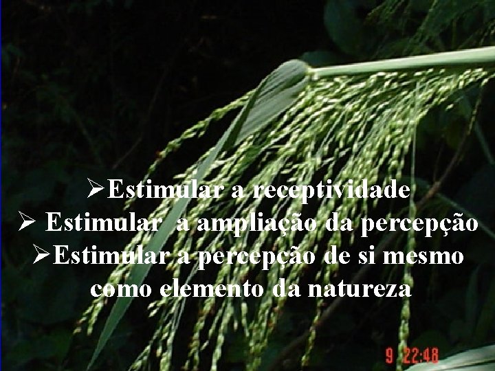 ØEstimular a receptividade Ø Estimular a ampliação da percepção ØEstimular a percepção de si