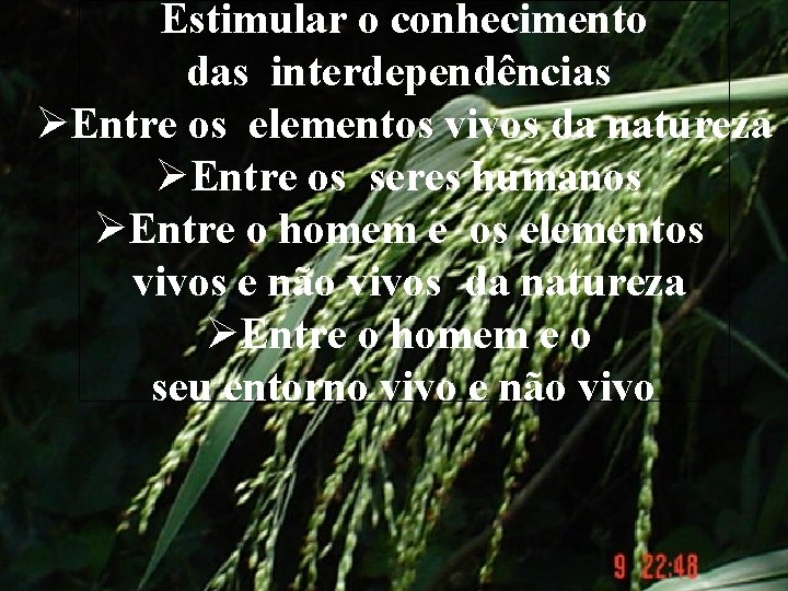 Estimular o conhecimento das interdependências ØEntre os elementos vivos da natureza ØEntre os seres