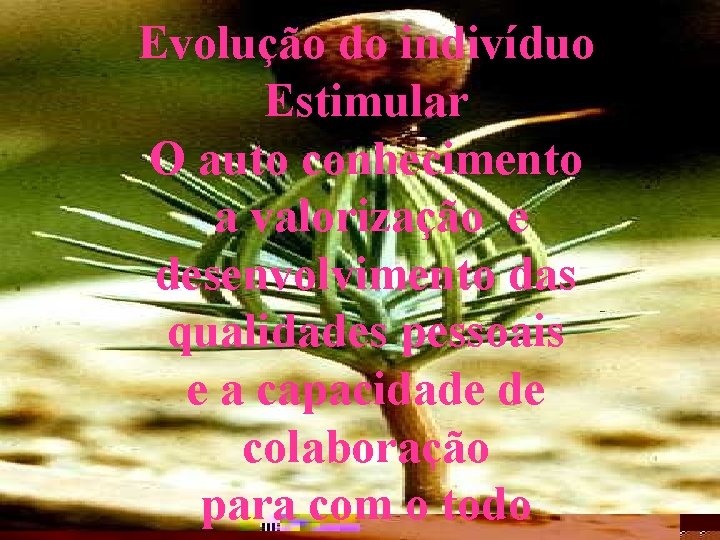 Evolução do indivíduo Estimular O auto conhecimento a valorização e desenvolvimento das qualidades pessoais